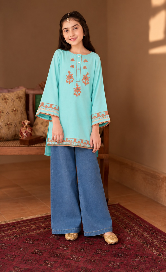 Aqua Blue Embroidered TOP